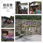 苗栗南庄桂花巷