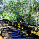 林田山林業文化園區