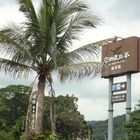 廖鄉長紅茶故事館