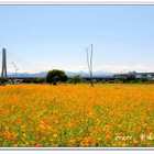 三重幸福水漾公園