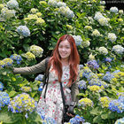 竹子湖高家繡球花田