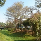 巴克禮紀念公園