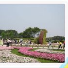 花博新生公園區