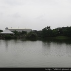 桃園八德埤塘生態公園