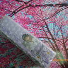 牛爾親研NARUKO(水仙DNA奇蹟修護系列)