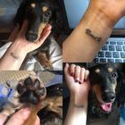 MikaLong 淡水美甲/美容美睫/微刺青/教學(微刺青)