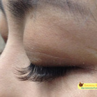 A+Lash睫作時尚沙龍(山茶花500根/咖啡色)