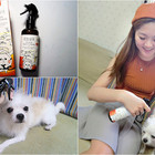 蚤蟲高手防護噴霧