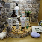 蒂奧菲．布頓Theophile Berthon喚顏海洋導入油