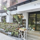 有肉 Succulent & Gift