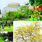 嘉義大學蘭潭校區