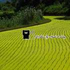 羅山瀑布停車場