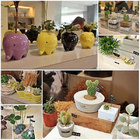 SOIG 日光夏蘭植物工房