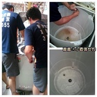 和珅洗衣機專業清潔