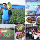 農聯社(雲林縣子茂果菜生產合作社)