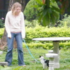 台灣大學社會科學院