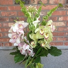 萬利花市 Onely Flower