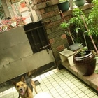 快樂熊音樂工作室