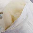 律倫健康睡眠館