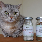 Petheal貝喜寵物養生