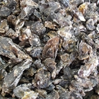 尚青的鮮蚵（台中北區東興市場）