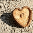 小南食品批發行