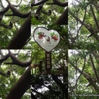 天母古道水管路步道