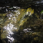 巴庫拉斯生態農莊