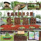 冬山河森林公園-生態綠舟