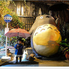 善聽空間3D立體龍貓