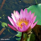 臺北市立圖書館-北投分館