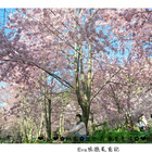 拉拉山恩愛農場