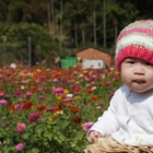 桃園蘆竹花海節