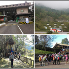 東眼山國家森林遊樂區