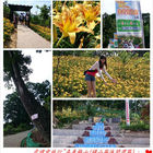 梅山橫山屏休閒園區