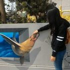 漫遊好美-立體彩繪村