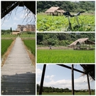 台大農場-安康分場