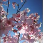 小半天石馬公園