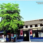 竹田驛站文化園區