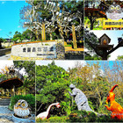 貓頭鷹童話森林王國-奧爾森林學堂