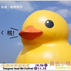 地景藝術節 黃色小鴨桃園新屋登場