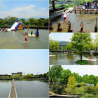 勝洋水草休閒農場