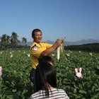 美濃白玉蘿蔔季