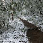 興福寮古道.向天池.向天山.面天山