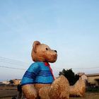 台中地景節之 迷失的小熊