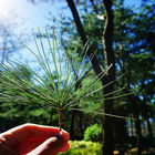 禪與松休閒養生會館