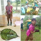 水雉生態教育園區