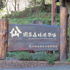 八仙山國家森林遊樂區