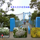 桐花-九華山天空步道