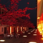 三義藝術村櫻花渡假會館